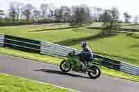 Lower Group Green Bikes